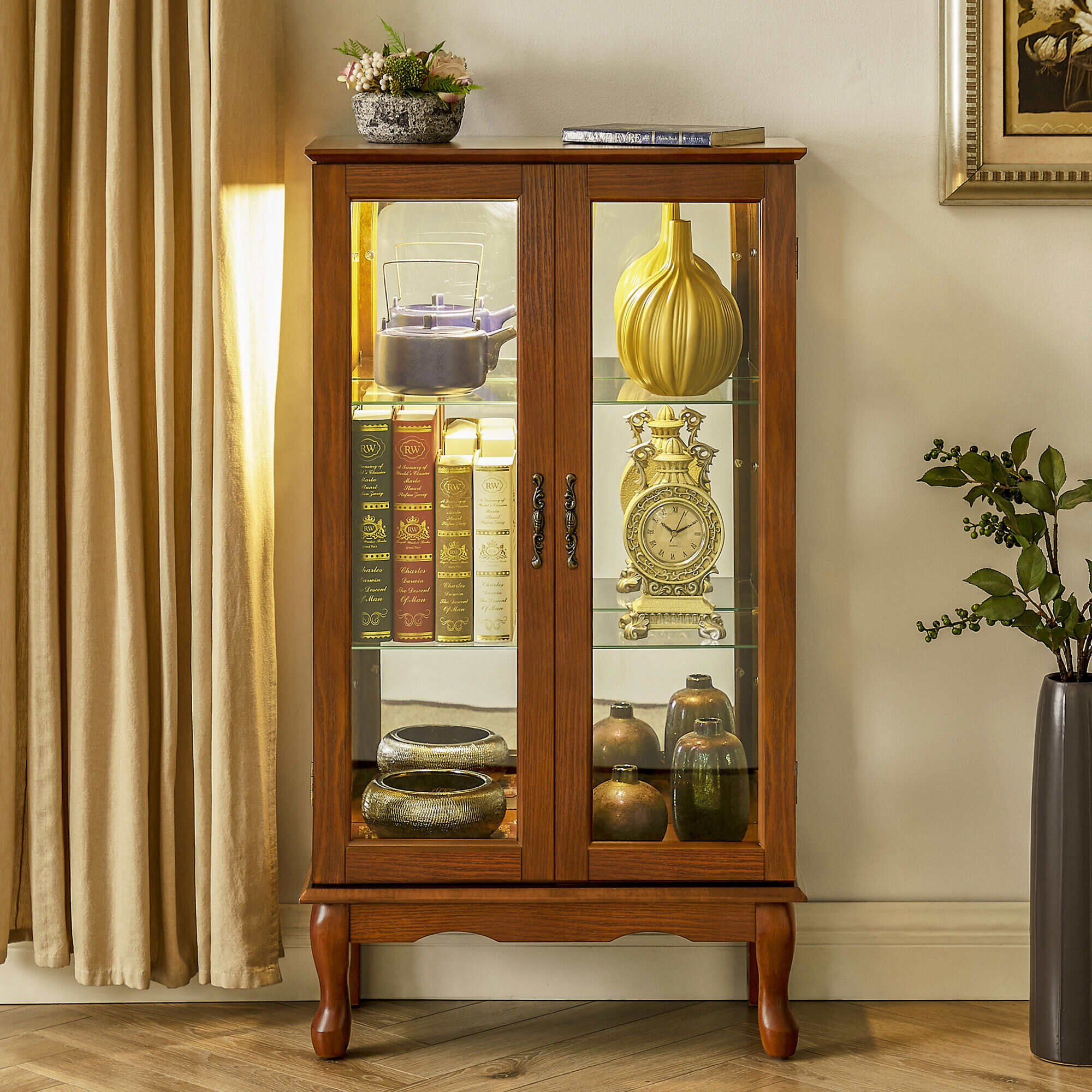 Modern curio cabinet shop with light
