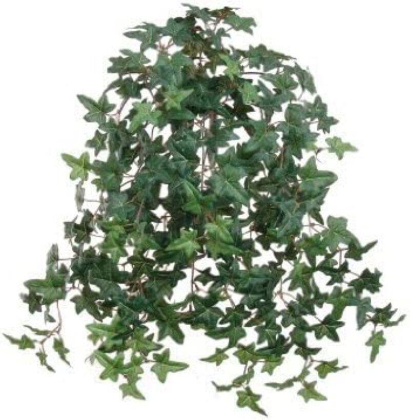 Cascading English Ivy - Artificial Ivy Vine for Hanging Basket Decor,  Halloween Decor, Window Boxes, Indoor Decoration