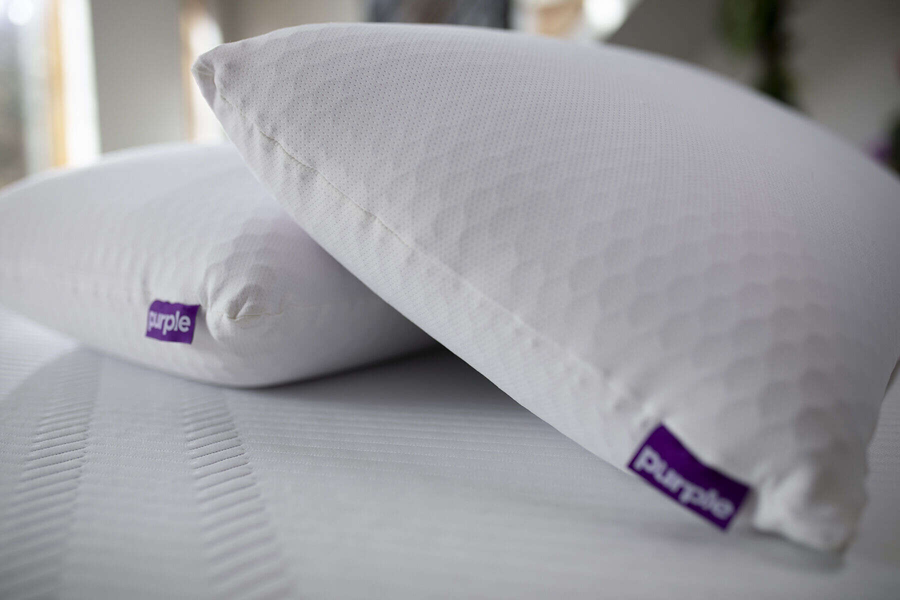 Purple Harmony Tall King Pillow Sleep Center