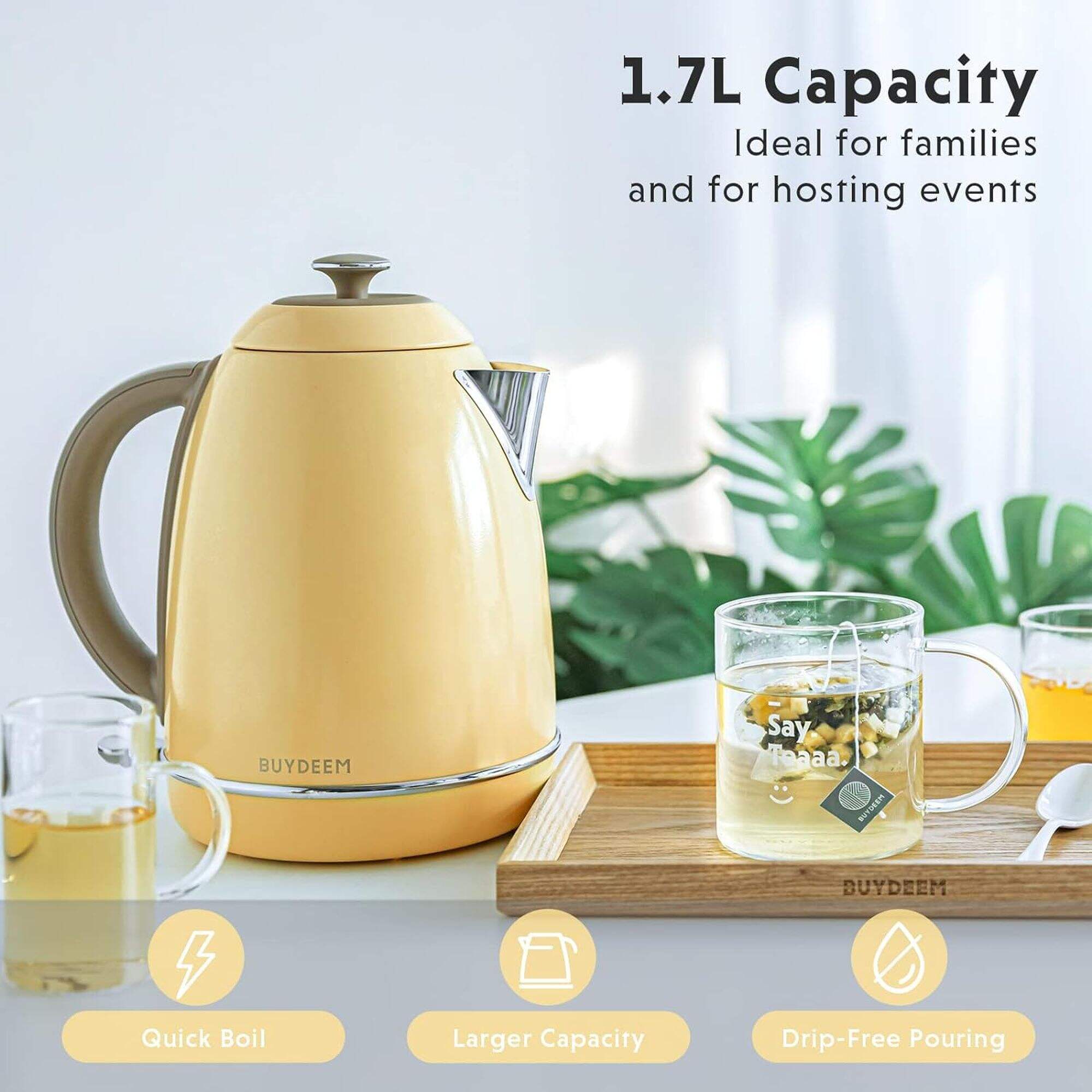 BUYDEEM K640 Stainless Steel Electric Tea Kettle with Auto Shut