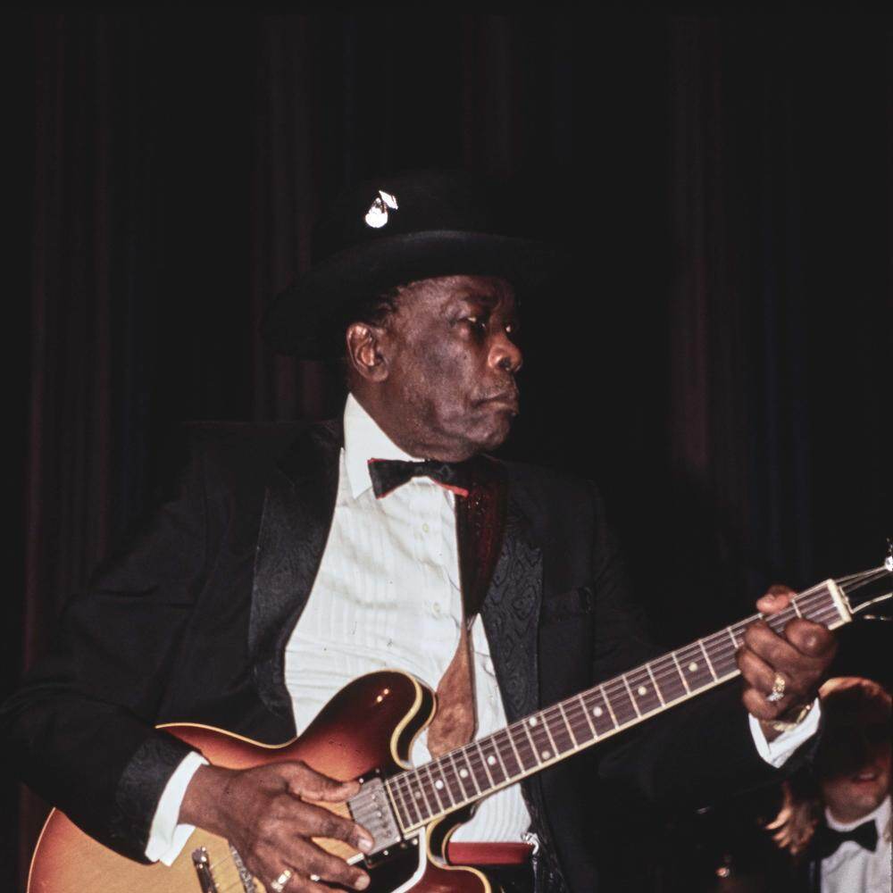 1991 Rock and Roll Hall of Fame Inductee John Lee Hooker