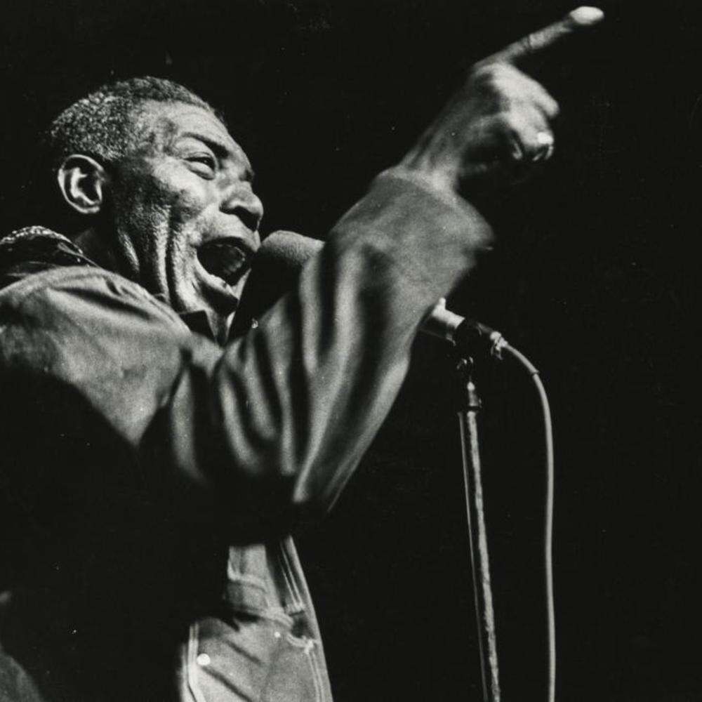 1991 Rock and Roll Hall of Fame Inductee Howlin Wolf