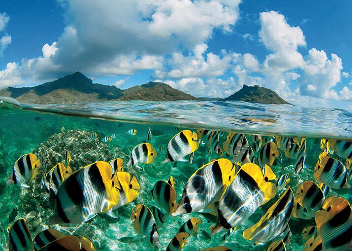 Dreams of Tahiti